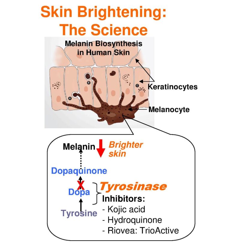 Skin Brightening Science